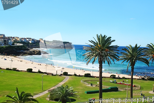 Image of Bronte Beach Sydney