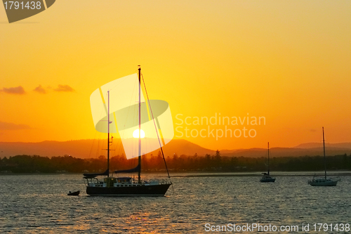 Image of Yachts In The Sun