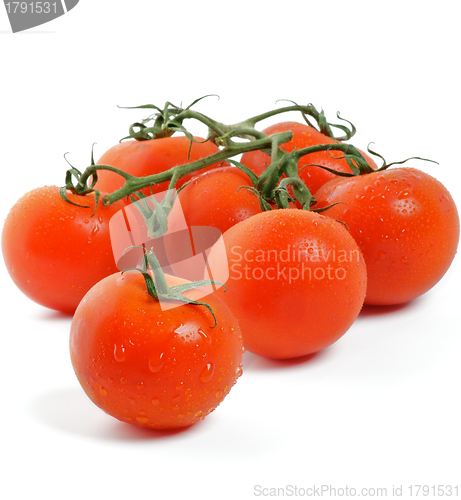 Image of Tomatoes on twigs