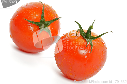 Image of Two Tomatoes