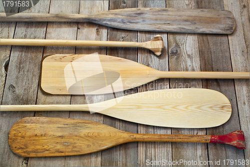 Image of wooden canoe paddles