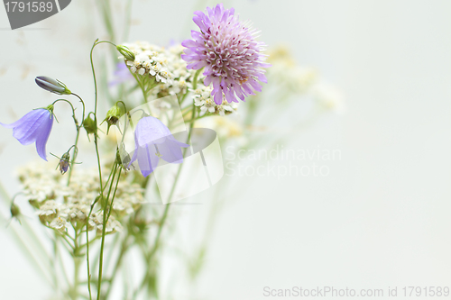 Image of Background with wildflowers for greeting card 