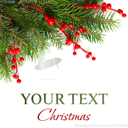 Image of Christmas background with Xmas green fir tree