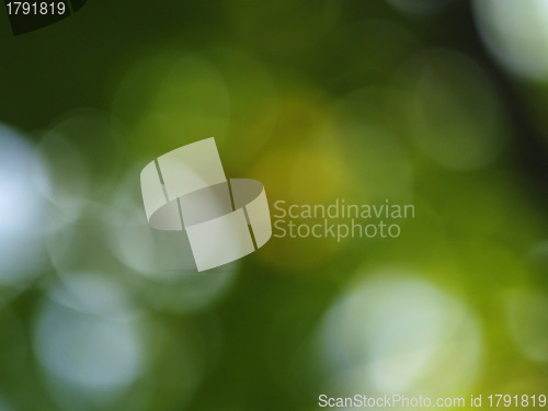 Image of bokeh