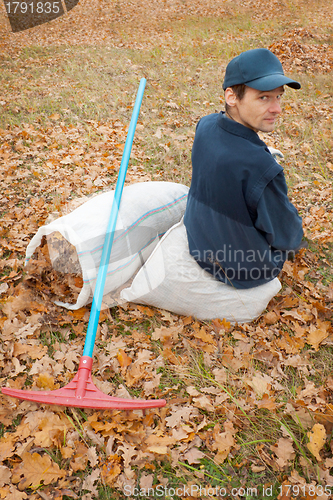 Image of A man collects in a grove of leaves