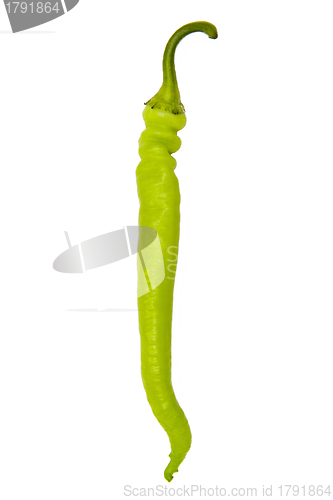 Image of Chili pepper