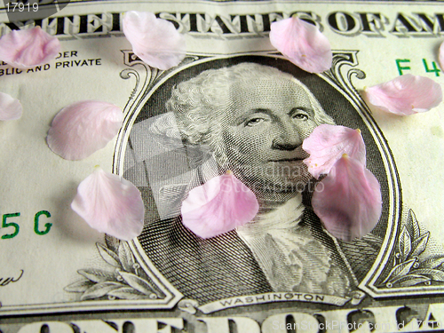Image of Petals on the dollar bill