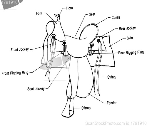 Image of Saddle diagram.