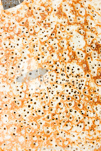 Image of pancake closeup