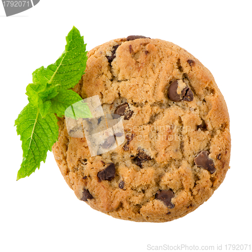 Image of Chocolate Chip Cookie