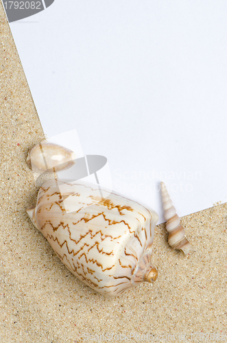 Image of Blank paper on sand