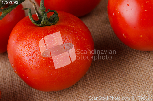 Image of Cherry tomatoes vine