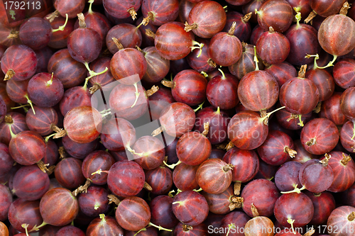 Image of Gooseberry