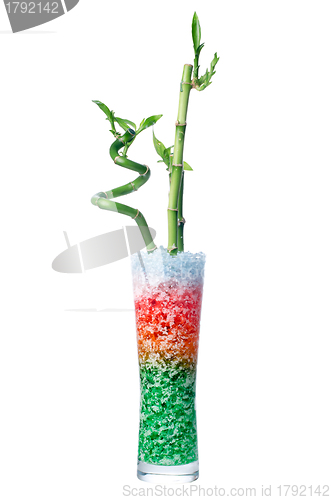 Image of Glass jar with bamboo 