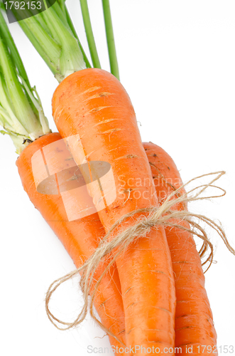 Image of Fresh carrots