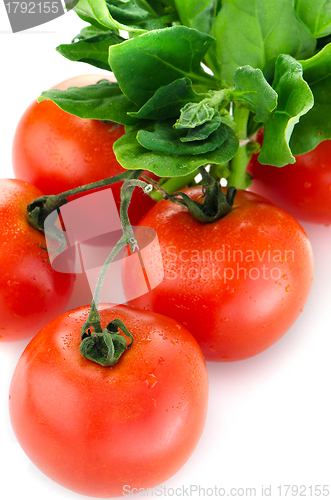 Image of Red ripe tomato