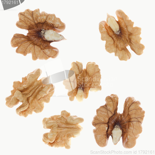 Image of Walnuts