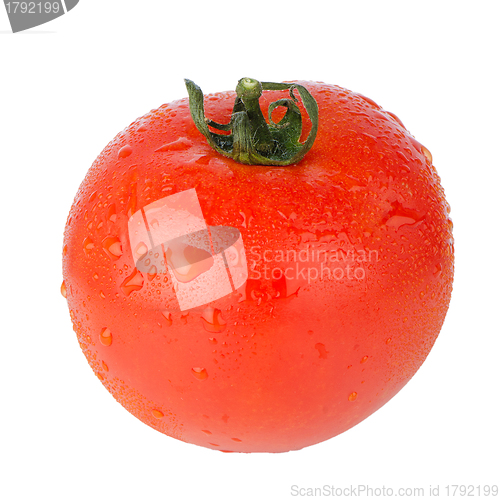 Image of Fresh red tomato 