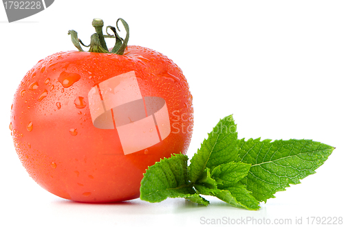 Image of Tomato and mint 