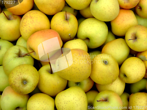 Image of Apples
