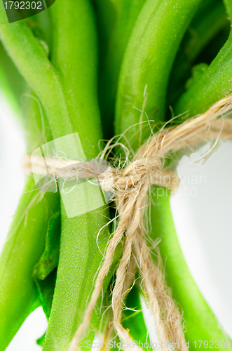 Image of Green vegetables tied with rafia