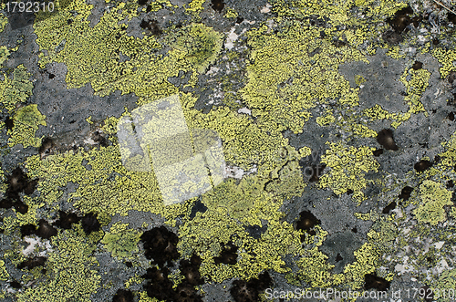 Image of Stone background 