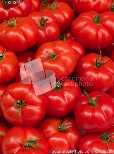 Image of Fresh Tomatoes