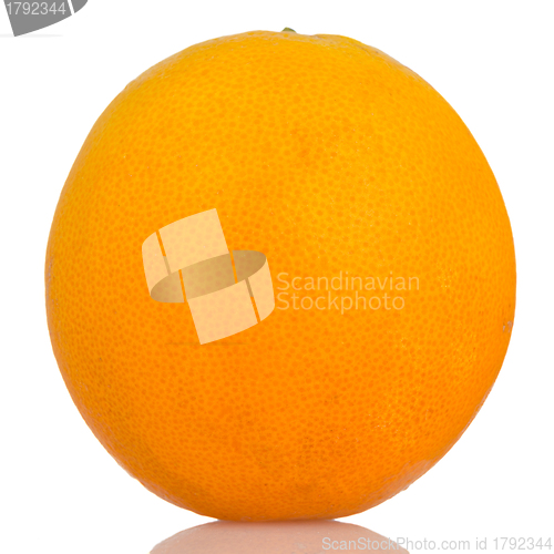 Image of Fresh ripe orange