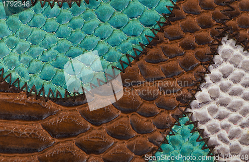 Image of Leather texture 