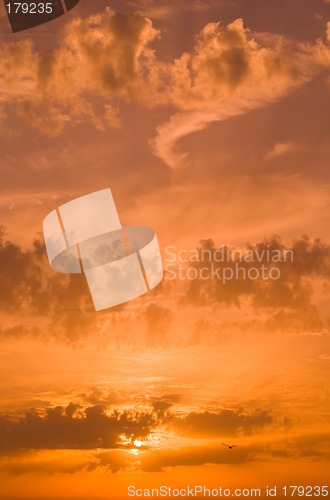 Image of Autumn sunset