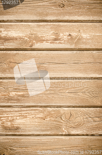 Image of Texture of pine wood