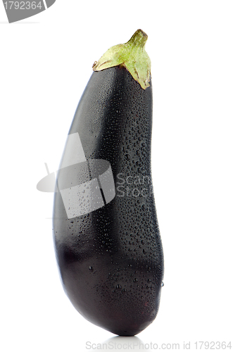 Image of Big eggplant closeup