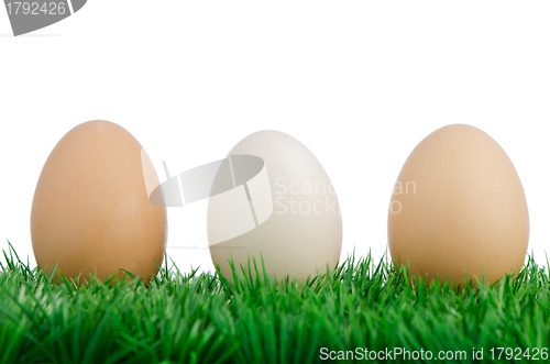 Image of Three eggs on grass