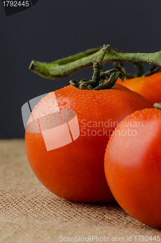 Image of Closeup of cherry tomatoes