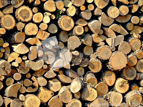Image of Firewood log