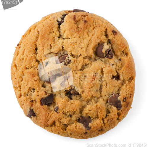 Image of Chocolate Chip Cookie