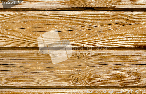 Image of Texture of pine wood