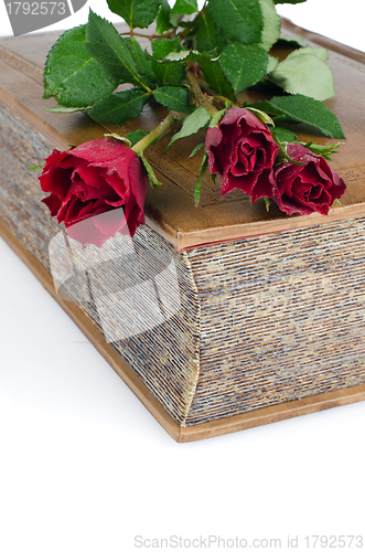 Image of Red roses in a closed book