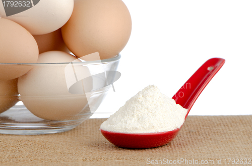 Image of Brown eggs on brown and red ceramic spoon with white powder