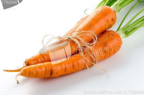 Image of Fresh carrots