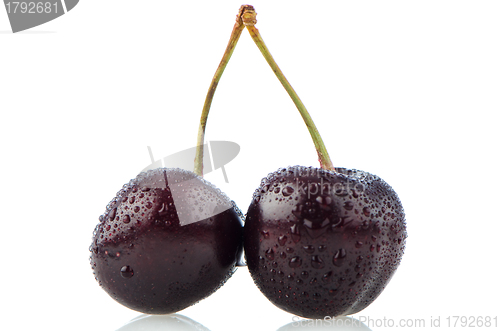 Image of Cherries