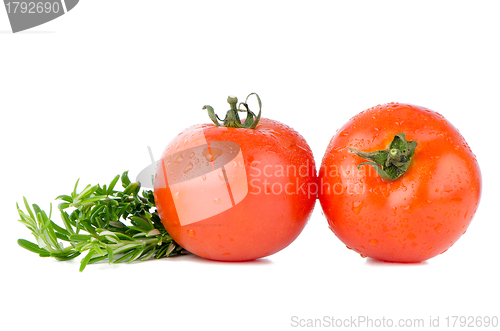 Image of Red tomatoes