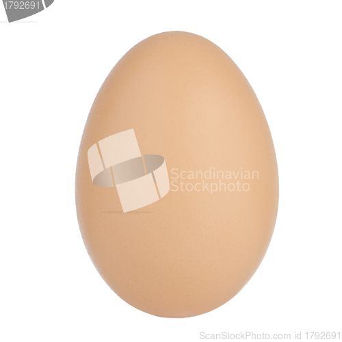 Image of Egg close up