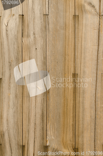 Image of Wood planks texture 