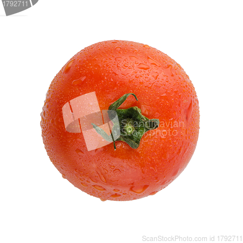 Image of Fresh red tomato 