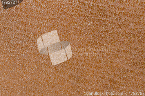 Image of Leather texture 