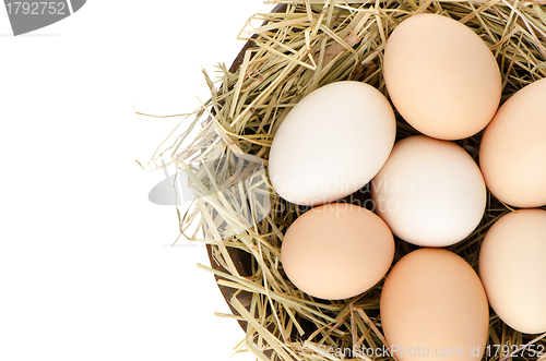 Image of Eggs closeup