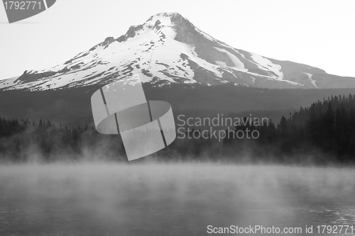 Image of Misty Lake with Mount Hood