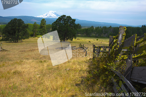 Image of Mount hood from Trout Lake