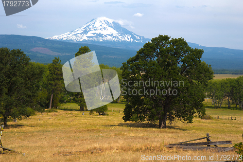 Image of Mount hood from Trout Lake